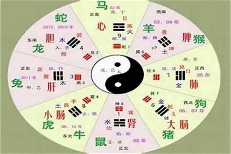 均字五行|均的五行属性是什么